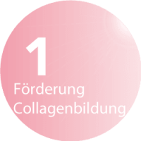 BeautyLight Sun & Beauty Lounge Solarium und Sonnenstudio - Förderung der Collagenbildung