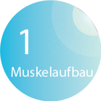 BodyFormer - Muskelaufbau im Sun & Beauty Lounge Solarium und Sonnenstudio