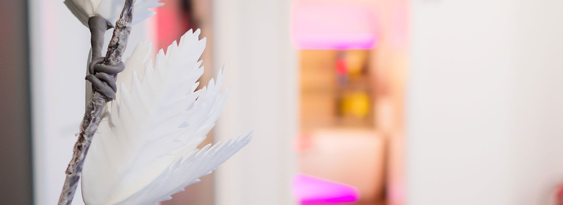 Sun & Beauty Lounge Solarium und Sonnenstudio - Über uns